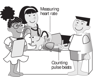 heart-rate-148160_1280