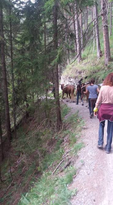 14264959_1729700790615203_274552295195495551_n