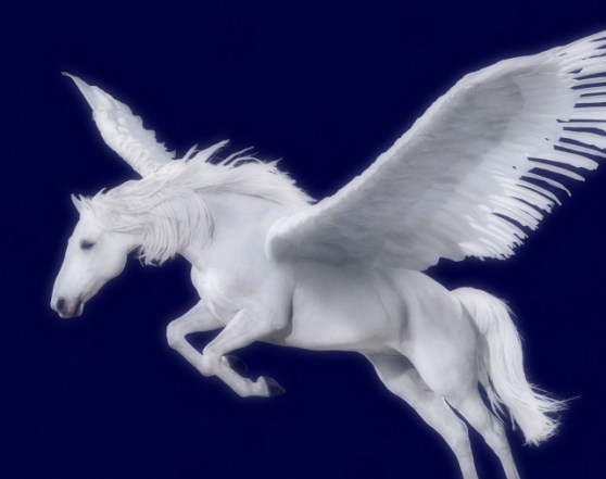 pegasus-04