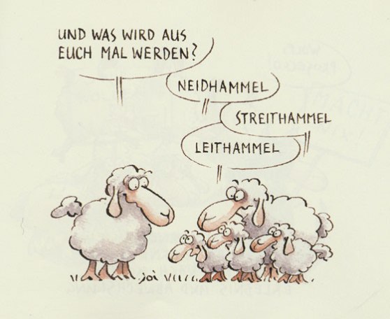 cartoon-lap-neidhammel-560