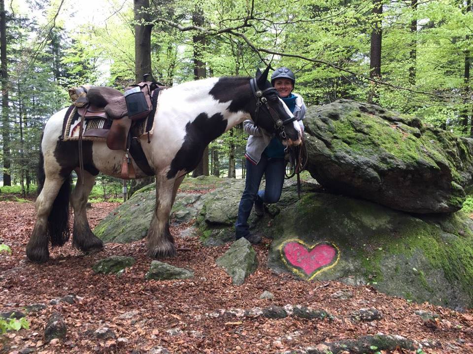 18341905_1384256964968145_5680059227031616840_n