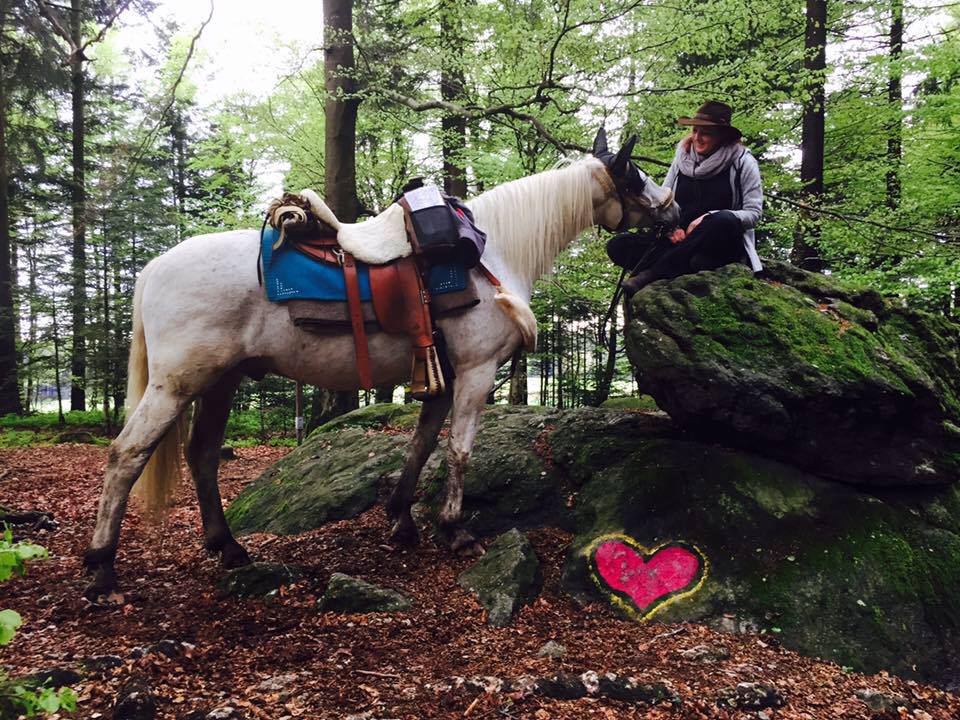 18342210_10213610025388911_6628974870088979840_n