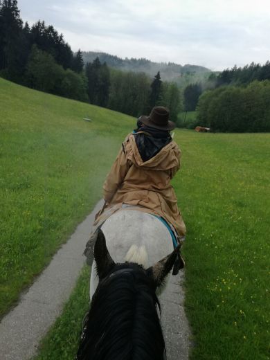 IMG_20170508_163919_preview