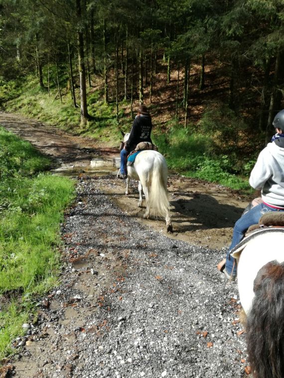 IMG_20170510_091655_preview